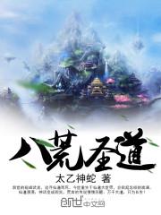 神龙斗士国语版