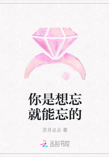 婚心不负全集