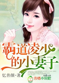 解开了女市长的乳罩小说