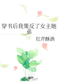 何以笙箫默小说