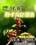 长泽梓全作品在线播放