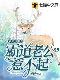 美丽新世界哈哈漫画免费阅读