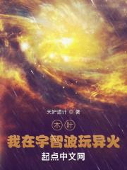 星汉灿烂小说结局