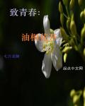 青苹果影院yy4090