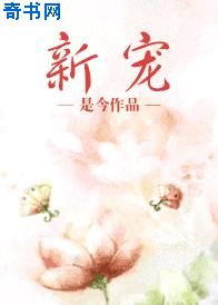 黄色软件有什么