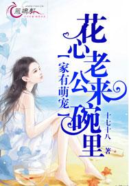 婚心不负全集