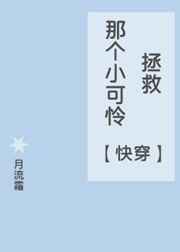 叶不凡苏晗韵全本免费