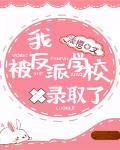 绝世神偷废材七小组txt