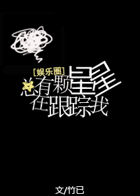 红星传奇有声小说