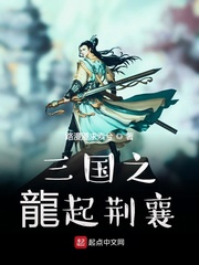 上门女婿叶辰完整版