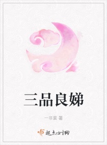 白洁教师小说