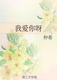 全职法师第一季在线观看