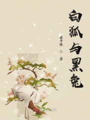 老师的脚足控漫画