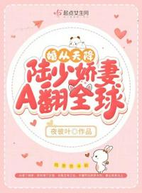 丕丕漫画网页登录页面入口免费