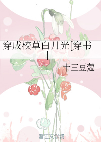 女士超薄全透明睡衣