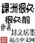 痴婆子传