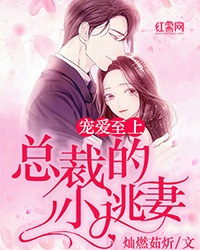 老阿姨bilibili