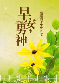 那年花好月正圆电视剧全集