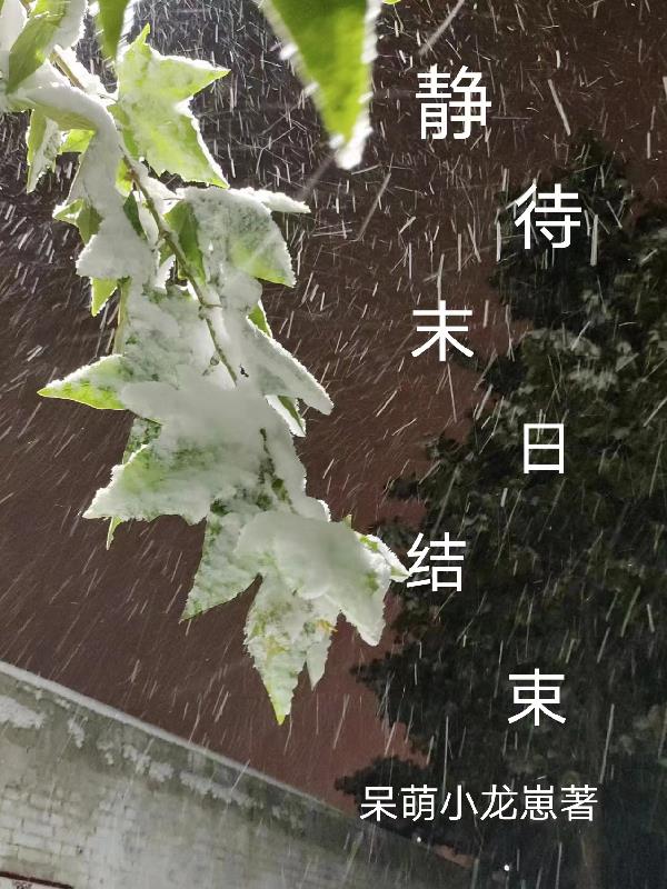 聊斋之狐仙