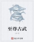 盲侠大律师百度云