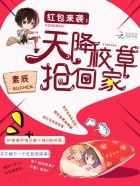 教师陆美蓉堕落第一章