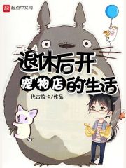 西红柿首富免费完整版8