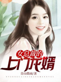 女仆h文