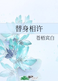 李芬诗雨小军 完整版