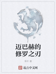 风水师小说