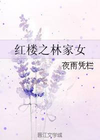 洛凡顾承泽办公室