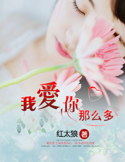 白洁教师小说