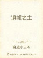 入禽太深沈执许镇司全文阅读