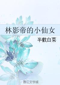 后宫秘史大宋艳后