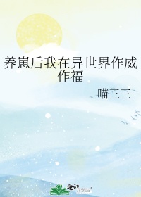 爱如冬雪纷飞时