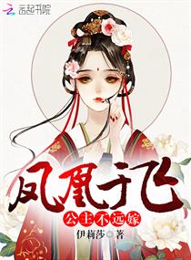 女圣骑士