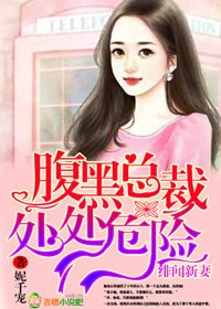 将军在上电视剧