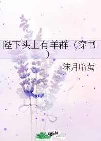 慢羊羊生日