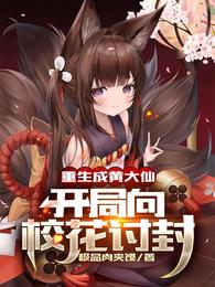 亚洲成a人v在线观看