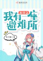 无翼鸟海贼王娜美本子