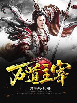 魔道祖师未删减版番外