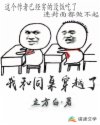 快穿吃肉之旅全文阅读