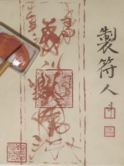 插死他