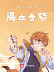 白洁教师小说