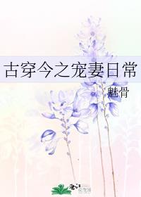 姜可全文阅读