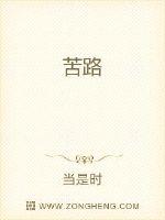 日本大片免a费观看视频播放器