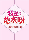 新金梅瓶龚玥菲版