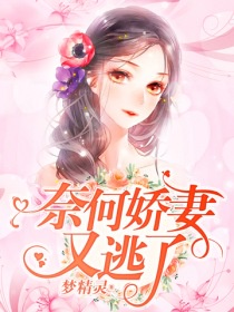 美女上错身第二季