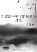 流氓老师陈天明