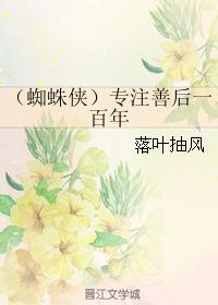 精灵宝可梦h