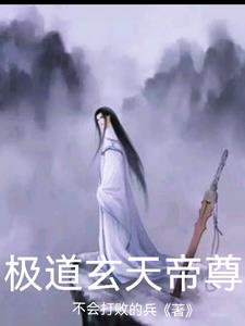 我的极品美女总裁